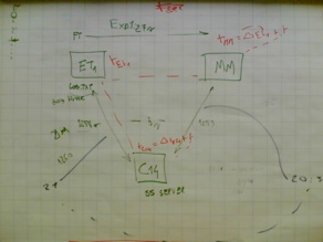 Experiment Re-Synch