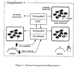 Velichkovsky Experiment-Setup