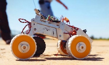 Feral Robot